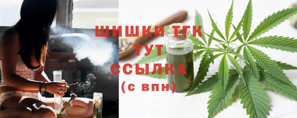 гидропоника Дмитриев