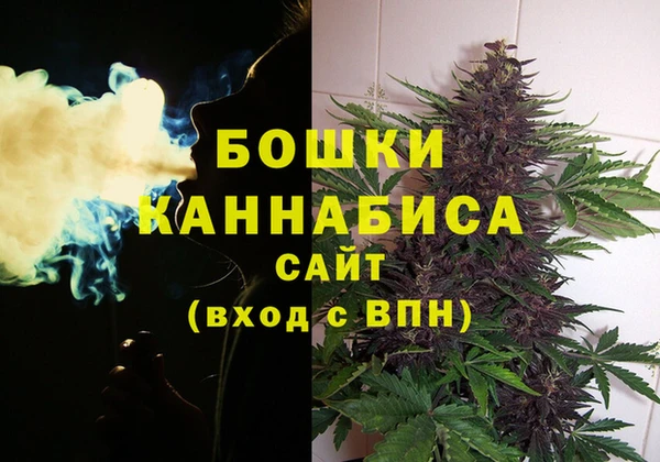 дмт Елизово