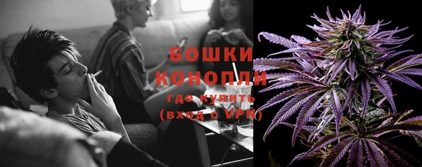 дмт Елизово