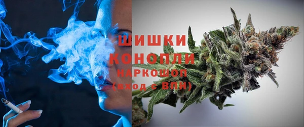 дмт Елизово