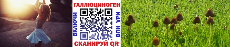 Псилоцибиновые грибы Psilocybe  гидра ONION  Игарка 